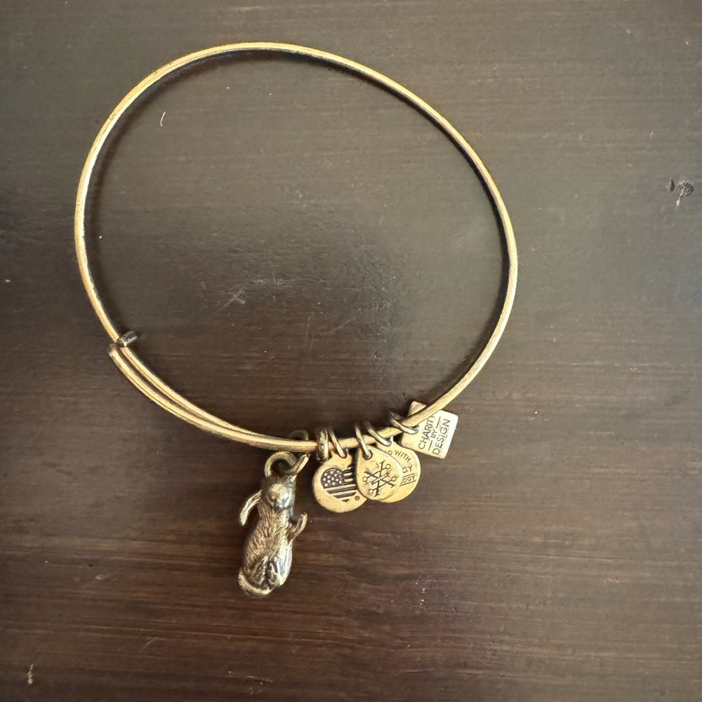 Alex and Ani Gold Charm Bracelet